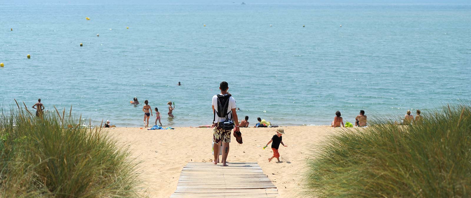 Path leading to a beach in Oléron in Charente Maritime